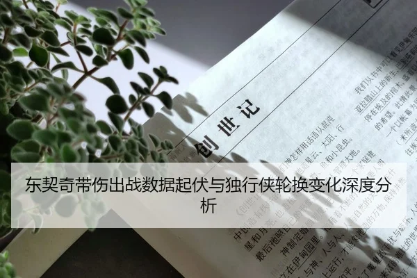 东契奇带伤出战数据起伏与独行侠轮换变化深度分析